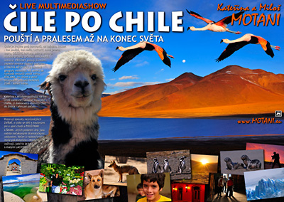 podrobn informace k psmu ILE PO CHILE